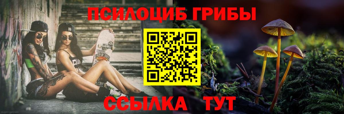 Псилоцибиновые грибы Psilocybe  Вход с VPN  Сибай 