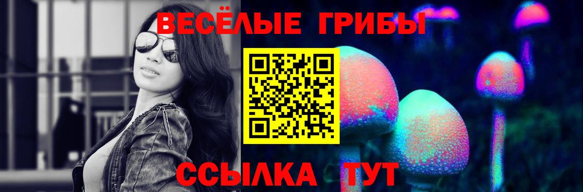 Псилоцибиновые грибы прущие грибы Сибай