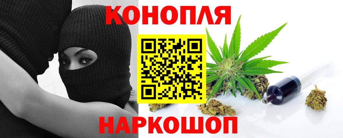 Марихуана конопля  Вход с VPN  Сибай  Шишки марихуана индика  Конопля Bruce Banner 